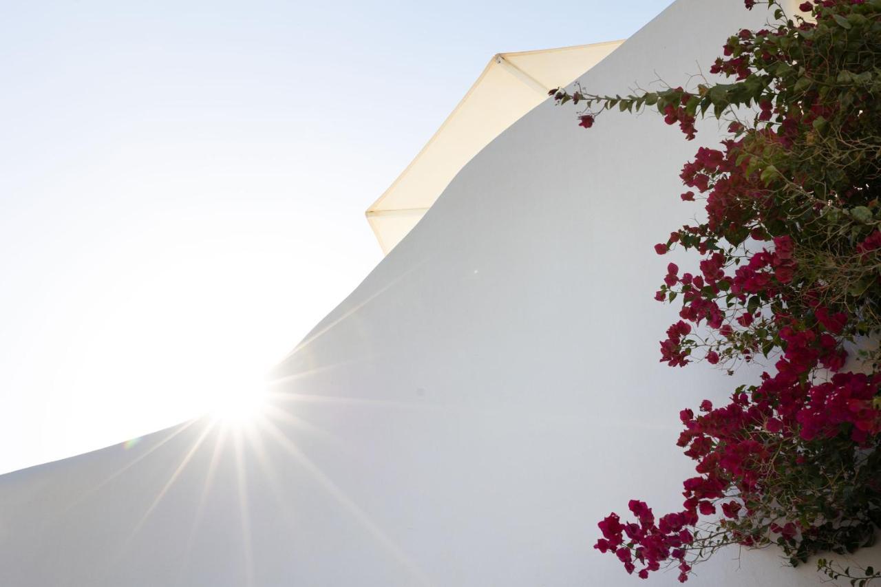 Ploes Seaside Houses Plaka  Luaran gambar