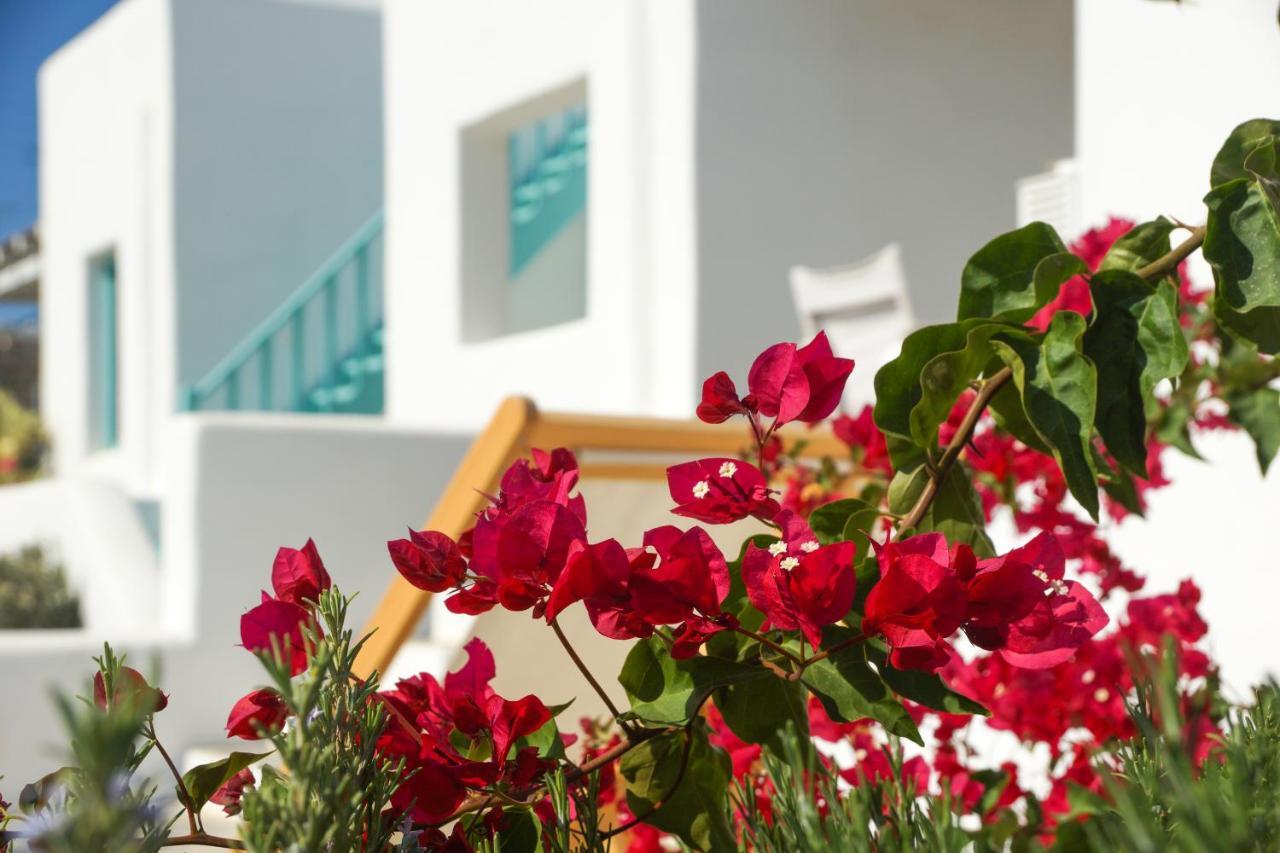 Ploes Seaside Houses Plaka  Luaran gambar